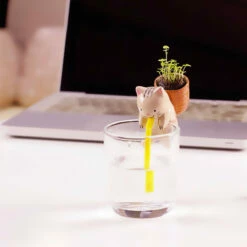 Chuppon Chat Fraise Sauvage à Faire Pousser -Cadeau boutique chuppon chat fraise sauvage a faire pousser 3