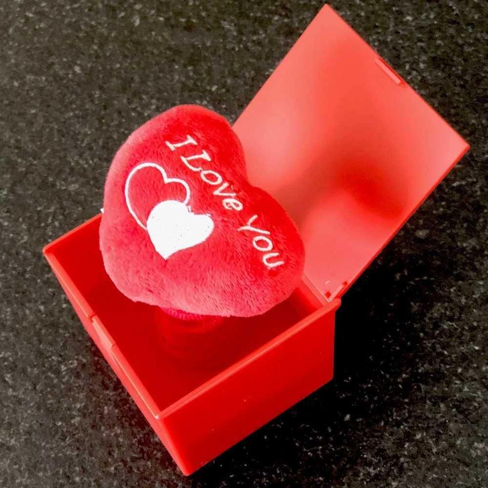 Coeur à Ressort "I Love You" 5 Coeur à Ressort "I Love You" – Image 3