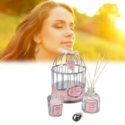 Coffret Cage Diffuseur De Senteurs -Cadeau boutique coffret cage diffuseur de senteurs 2