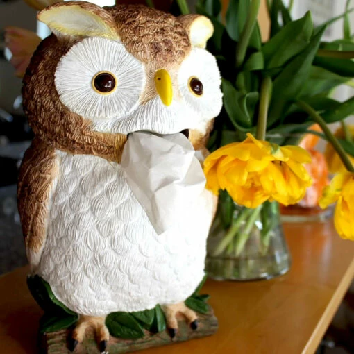 Distributeur De Mouchoirs Hibou -Cadeau boutique distributeur de mouchoirs hibou