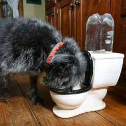 Gamelle En Forme De WC -Cadeau boutique gamelle pour animaux en forme de wc toilettes 2