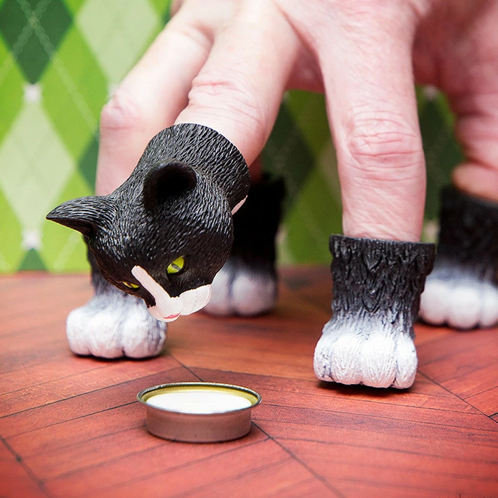 Handicat, Chat Pour Doigts 3 Handicat, Chat Pour Doigts