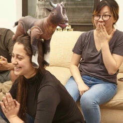 KIKKERLAND Jeu Yoga Chèvre 7 KIKKERLAND Jeu Yoga Chèvre -Cadeau boutique jeu yoga chevre 1