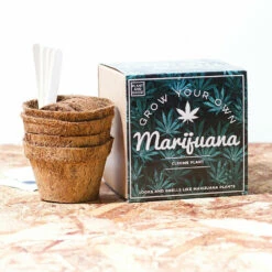 Kit à Faire Pousser Marijuana -Cadeau boutique kit a faire pousser marijuana 2