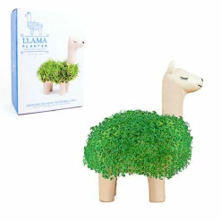 GIFT REPUBLIC Lama à Faire Pousser -Cadeau boutique lama a faire pousser 1