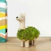 GIFT REPUBLIC Lama à Faire Pousser 1 GIFT REPUBLIC Lama à Faire Pousser -Cadeau boutique lama a faire pousser
