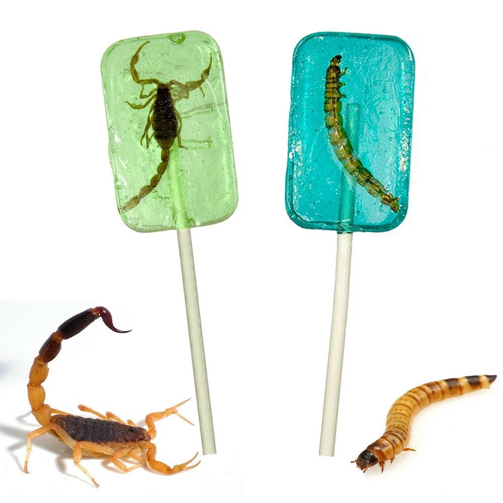 Lot De 2 Sucettes Insectes 4 Lot De 2 Sucettes Insectes – Image 2