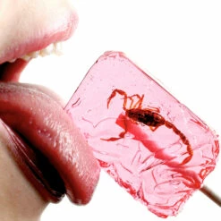 Lot De 2 Sucettes Insectes