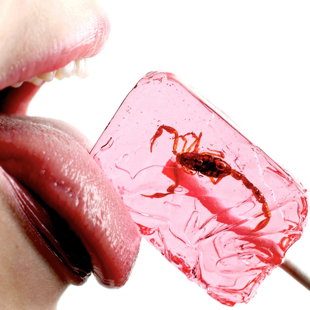 Lot De 2 Sucettes Insectes 3 Lot De 2 Sucettes Insectes