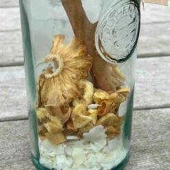 Mélange Bio Pour Rhum Arrangé Tranquille Emile 7 Mélange Bio Pour Rhum Arrangé Tranquille Emile -Cadeau boutique melange bio pour rhum arrange tranquille emile 2