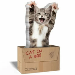 Pense-bêtes Adhésifs Chat 7 Pense-bêtes Adhésifs Chat -Cadeau boutique pense betes adhesifs chat 2