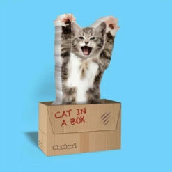 Pense-bêtes Adhésifs Chat