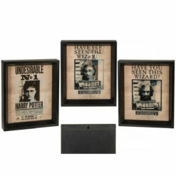 PYRAMID Poster Effet 3D Harry Potter Et Sirius -Cadeau boutique poster effet 3d harry potter et sirius 3