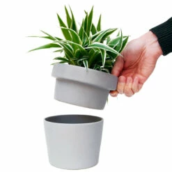 Pot De Fleur Cachette 6 Pot De Fleur Cachette -Cadeau boutique pot de fleur cachette 1