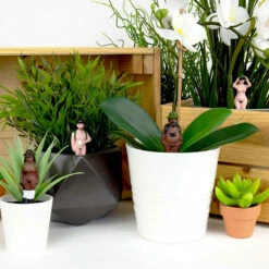 GIFT REPUBLIC Randonneurs Naturistes Pour Plantes -Cadeau boutique randonneurs naturistes pour plantes 1