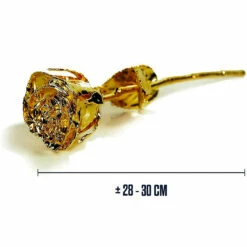 Rose éternelle Or 24 Carats -Cadeau boutique rose eternelle or 24 carats 2