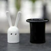 Salière Et Poivrière Lapin Magique 1 Salière Et Poivrière Lapin Magique -Cadeau boutique saliere et poivriere lapin magique