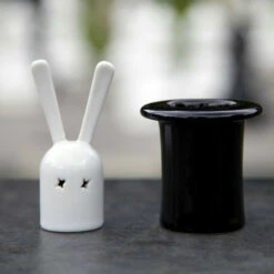 Salière Et Poivrière Lapin Magique