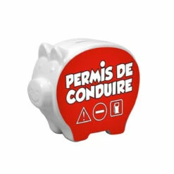 Tirelire Cochon Permis De Conduire -Cadeau boutique tirelire cochon permis de conduire 1