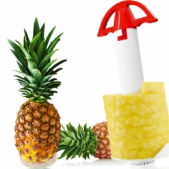 Tranche-ananas -Cadeau boutique tranche ananas 1