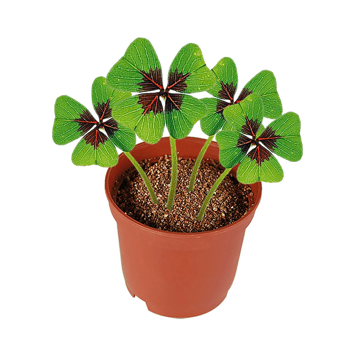 Out Of The Blue Trèfle Porte-bonheur 4 Out Of The Blue Trèfle Porte-bonheur – Image 2