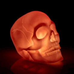 Veilleuse LED Tête De Mort -Cadeau boutique veilleuse led tete de mort 2