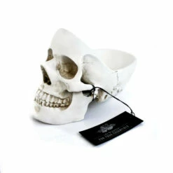 Vide-poches Tête De Mort 9 Vide-poches Tête De Mort -Cadeau boutique vide poches tete de mort 3